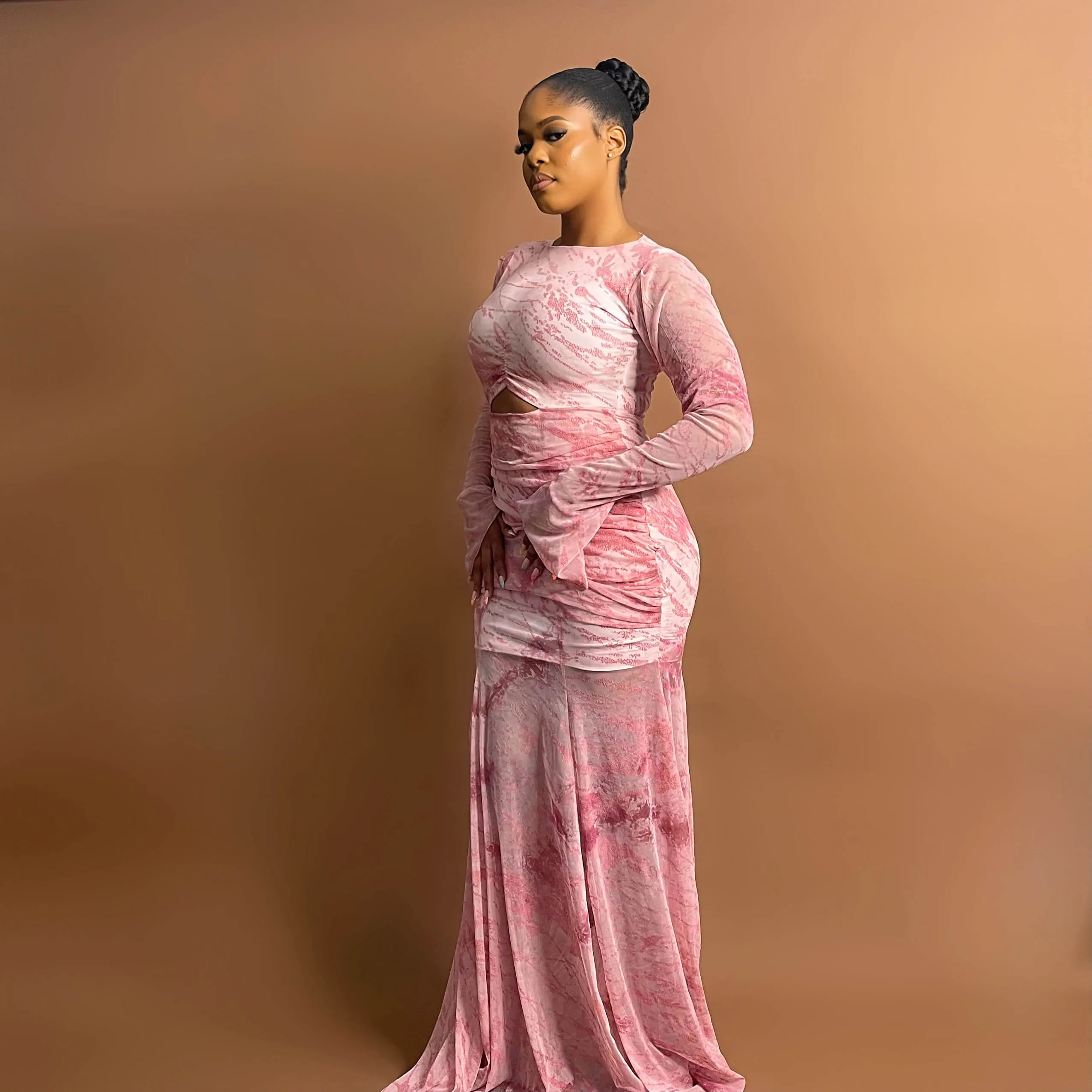 Zara Mesh Dress (Blush Mirage)